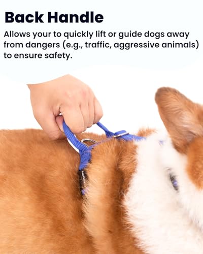Non-Restrictive Dog Harness, Neck Buckle Design, Easy Walk Freedom No Pull Harness, Keep Balance, Six Points Adjustment, for Large Dogs Chest(25-35 inches) Blue/Black - color: Blue/Black, size: L