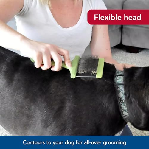 Coastal Pet Safari Dog Flexible Slicker Brush - Dog Brush for Shedding - Undercoat Rake & Grooming Tools for Small & Medium Pets - Medium - size: Medium