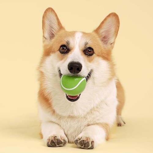 Playology Dog Toys | Squeaky Chew Ball for Dogs | Sweet Potato Scented Medium Dog Ball | Bouncy Floating Chew Toys for Fetch - size: Medium, style: Sweet Potato