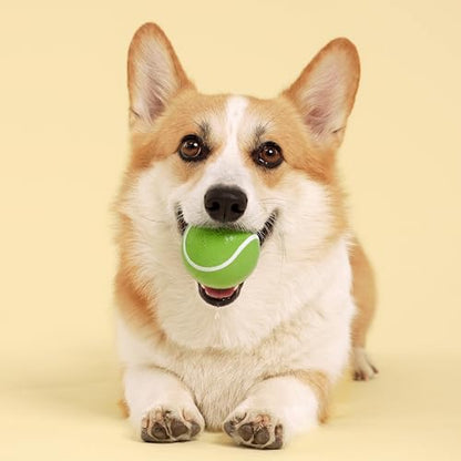 Playology Dog Toys | Squeaky Chew Ball for Dogs | Sweet Potato Scented Medium Dog Ball | Bouncy Floating Chew Toys for Fetch - size: Medium, style: Sweet Potato