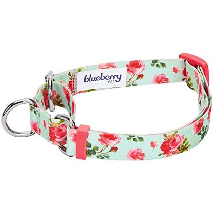 Blueberry Pet Spring Scent Inspired Rose Print Martingale Safety Training Dog Collar, Turquoise, Small, Heavy Duty Adjustable Collars for Dogs - color: Turquoise, size: Small