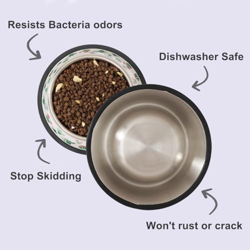 Stainless Steel Dog Bowls, Food and Water Non Slip Anti Skid Stackable Pet Puppy Dishes for Small, Medium and Large Dogs (2 Pack) - color: Cactus, size: 1.5 Cup/12 oz