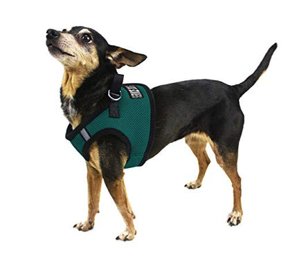Dogline Boston Step in Mesh Dog Harness with Service Dog Patch No Choke Pet Vest Soft Gentle Padded Chest Halter for Puppies Small Medium and Large Dogs 21 to 24 inches Girth Dark Teal - color: Dark Teal, size: Girth 21 to 24"