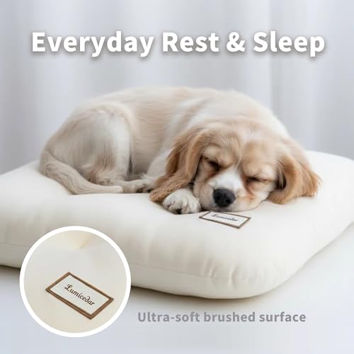 Washable Dog Bed Ultra Soft Plush Dog Crate Mat, Dog Bed for Crate, 3.2" Thick Dog Bed Mat, Kennel Pad for Small and Medium Dogs, Beige (Beige, 24" L x 18" W x 3.2" Th) - size: 24"L x 18"W x 3.2"Th