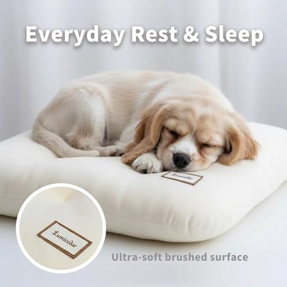 Washable Dog Bed Ultra Soft Plush Dog Crate Mat, Dog Bed for Crate, 3.2" Thick Dog Bed Mat, Kennel Pad for Small and Medium Dogs, Beige (Beige, 24" L x 18" W x 3.2" Th) - size: 24"L x 18"W x 3.2"Th