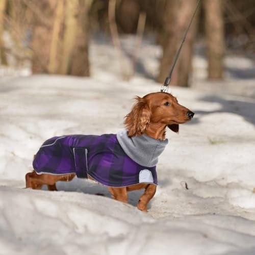 Dachshund Coats Waterproof Suitable for Dachshunds Sausage Weiner Dog Winter Coat Padded Fleece Puppy Snowsuit with Adjustable Bands Reflective Stripe - Plaid Purple - M - color: Plaid Purple, size: Medium