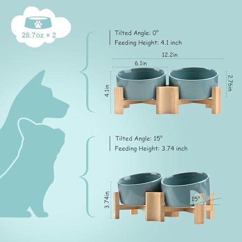SPUNKYJUNKY 15° Slanted Ceramic Dog and Cat Bowl with Wooden Stand, Tilted Bulldog Food and Water Bowl No Slip Non-Spill for Cats Medium Dogs Big Face Pets 28.7 OZ (3.6 Cups, Light Green × 2) - color: Light Green, size: 3.6 CUPS × 2