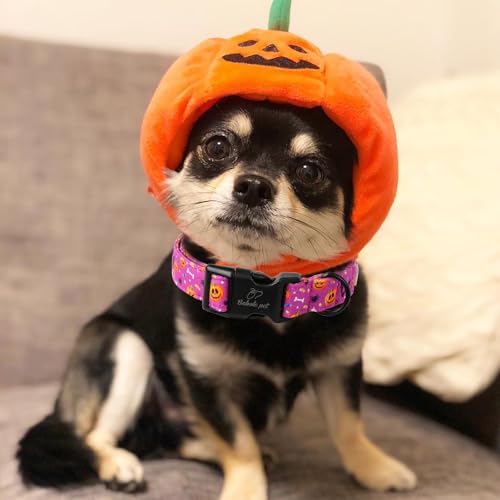 Halloween Dog Collar, Cute Pumpkin Bat Pattern Halloween Purple Puppy Collar, Soft Adjustable Cotton Dog Collars for Small Medium Large Boy&Girl Dogs XS - color: Purple Pumpkin Bat, size: XS