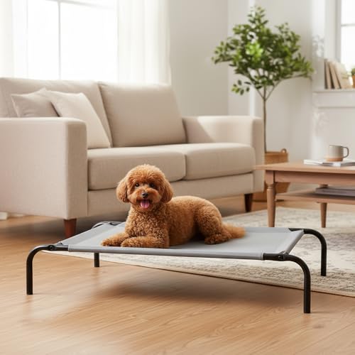 Amazon Basics Cooling Breathable Elevated Dog Bed with Durable Metal Frame, Medium, 43 x 26 x 7.5 Inch, Grey, Easy to Assemble - color: Grey, size: Medium