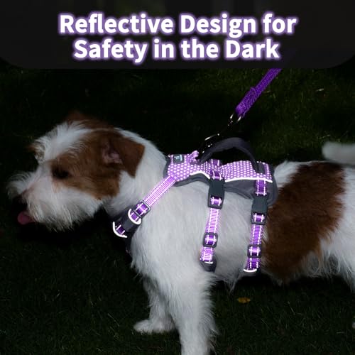 Huntboo Reflective Dog Harness with Handle, Escape Proof, No Slip, Breathable, Lightweight,Adjustable Lift Harness for Small,Medium,and Large Dogs Walking, Training,and Running Gear(Lavender Purple,S) - color: Lavender Purple, size: Small (Pack of 1)