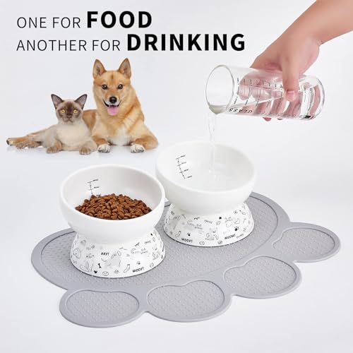 Ceramic Raised Cat Bowl Set | Elevated Food and Water Bowls for Cats and Small Dogs | 2 Pack Tilted With Anti-Slip Silicone Mat (Gray) - color: gray