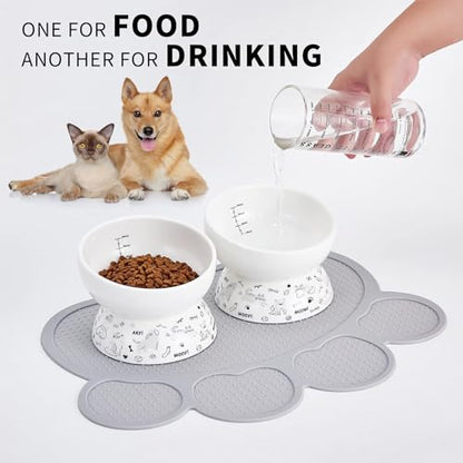 Ceramic Raised Cat Bowl Set | Elevated Food and Water Bowls for Cats and Small Dogs | 2 Pack Tilted With Anti-Slip Silicone Mat (Gray) - color: gray