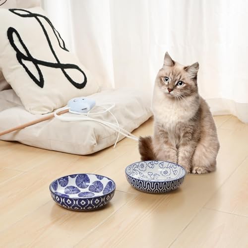 Selamica 세라믹 고양이 그릇, 14cm(5.6인치) 너비의 얕은 고양이 사료 그릇, 음식과 물용, 수염 친화적, 6개 세트, 빈티지 블루 - color: 빈티지 블루, size: 5.6 Inch, Set of 6
