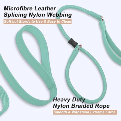 Slip Lead Dog Leash, Double Handle, Soft Leather, Heavy Duty Nylon, No Pull Walking, 5ft Mint Green - color: Mint Green, size: 5ft