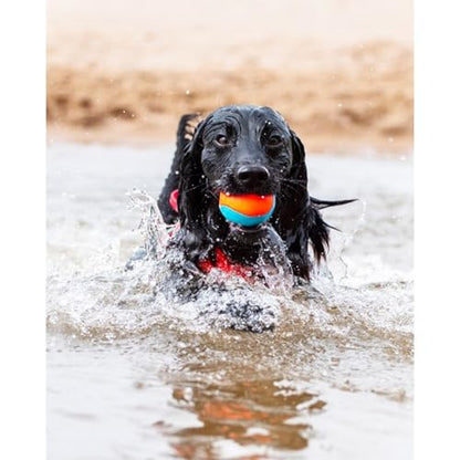ChuckIt! Amphibious Fetch Balls, Set of 3, Medium - size: Medium