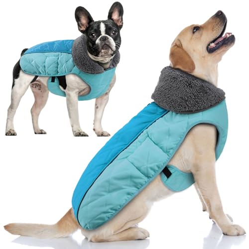 Doglay Dog Coat, Waterproof Dog Jacket Pet Winter Coat for Cold Weather with Thicken Furry Collar, Reflective Puppy Winter Jacket Warm Fleece Lining for Small Medium Large Pets - color: Hot Blue, size: S(Chest : 11-18.11" , Back : 9.84")
