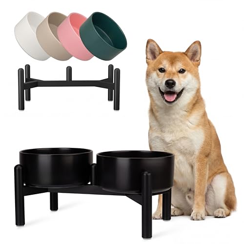 Raised Ceramic Dog Bowl Set - Elevated Double Dishes with Stainless Steel Stand - Food and Water Bowls for Small to Medium Dogs - Each Holds 3.5 Cups (29.57 fl oz) - Black - color: Black, size: 2 Bowls - 3.5 Cups Each