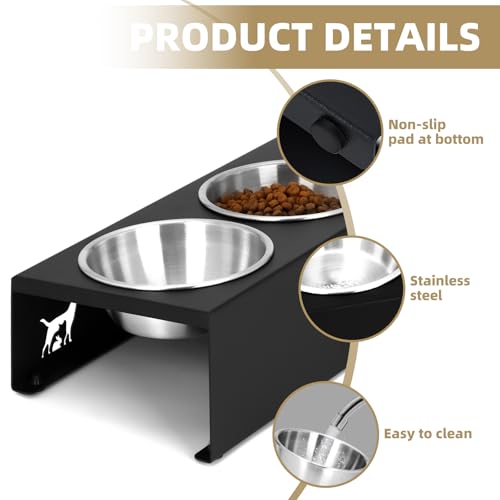 Elevated Cat Food Bowl,15°Tilted Stand Anti Vomiting Raised Cat Dishes for Food and Water,2 Stainless Steel Bowls,Non-Slip No Spill,Cats and Puppy - size: Stainless Steel-2 Bowls