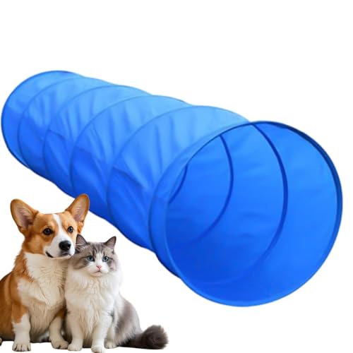 Dog Agility Course Backyard Set Exercise Trainer with Tunnel | Dog Playground Equipment for Outdoor Garden Park Beach Playground Field Competition Recreation - color: A