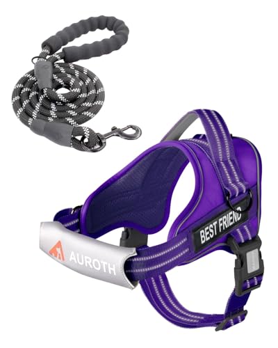 AUROTH Dog Harness and Leash Set, Soft Padded Service Dog Vest with 5.25FT Dog Leash, No Choke, Easy On Pet Vest, Adjustable Reflective No Pull Dog Harness for Large Dogs, Easy Walking and Training - color: Purple, size: Large
