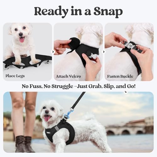 rabbitgoo Dog Harness Small Sized and Leash Set, Step in Soft Light Puppy Vest, Breathable Mesh Pet Harness, Reflective for Safe Easy Walking, Black XXS - color: Black, size: Xxs (chest: 12.4 - 14.2")