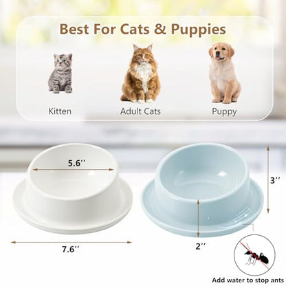 Ant Proof No Spill Ceramic Cat Food Bowls,15° Tilted Neck Support,No Spill,Non-Slip Base,Easy Clean Pet Water Dishes for Cat and Small Dog Indoor or Outdoor Use(2 Pack)