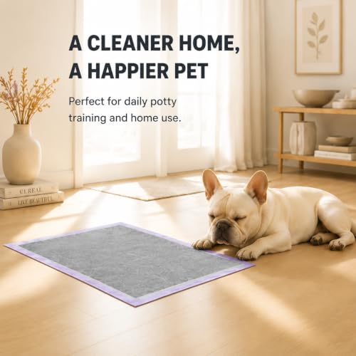 Charcoal Dog Training Pads Advanced Odor Control Puppy Pee Pads, 22x22 Inch, 7-Layer Leak-Proof, Ultra Absorbent, Adhesive Tabs, 50 Count
