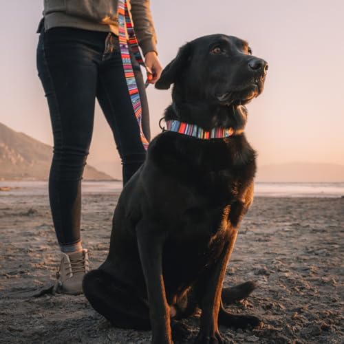 Wolfgang Heavy Duty, Adjustable Dog Collar with Quick Release Nylon Buckle for Walking & Training, Quetzal Print, Small - color: Quetzal Print, size: Small (5/8 Inch x 8-12 Inch)
