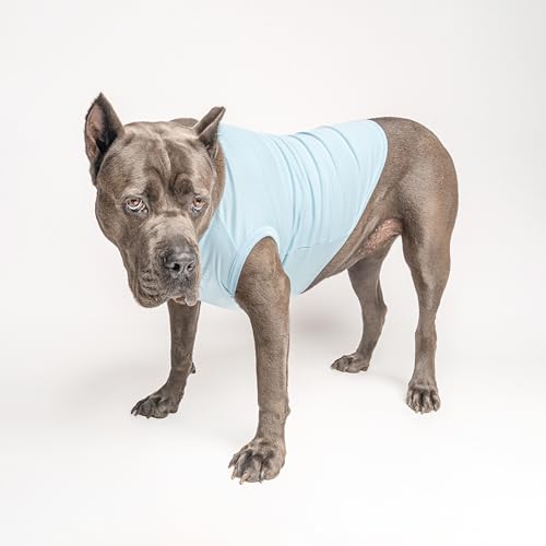 Zoomies Race Car Driver Costume Dog Tee Shirt | Sleeveless Breeds | Pit Crew | Chechered Flag | Fast |Baby Blue, 5X-Large 1500 - color: Baby Blue, size: 5X-Large (55-80 lbs)