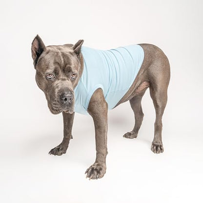 Zoomies Race Car Driver Costume Dog Tee Shirt | Sleeveless Breeds | Pit Crew | Chechered Flag | Fast |Baby Blue, Small 1500 - color: Baby Blue, size: Small (3-8 lbs)