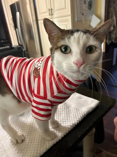 Turtleneck Dog Shirt Cute Doggie Embroidery Super Soft Dog Sweatshirt Stretchy Striped Puppy Pullover for Cats Small Medium Large Dogs (Red Striped, X-Small) - color: Red Striped, size: X-Small