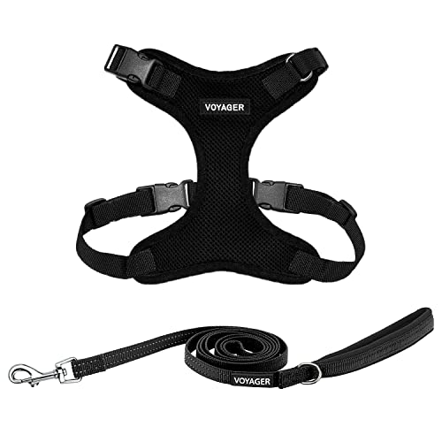 Best Pet Supplies Voyager Step-in Lock Pet Harness w Reflective Pet Leash Combo Set with Neoprene Handle 5ft - Supports Small, Medium and Large Breed Puppies/Cats - Black, S - color: Harness Leash Set (Black), size: S (Chest: 15 - 18")