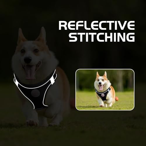 Soft Mesh Dog Harness and Leash Set, No Pull Puppy Harness and Leash Set, Reflective Step in Harness for Small Medium Dogs, Easy Walk Escape Proof Vest Harnesses (Black, L) - color: Black, size: L