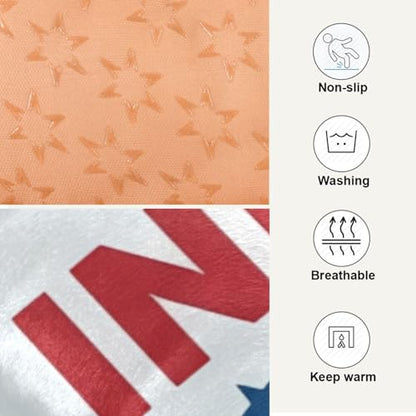 Independence Day Pattern Pet Bed Mat for Dogs and Cats, Soft Washable Crate Pad with Non-Slip Bottom, Cozy Bed Cushion for Small Medium Large Pets, 18x24 Inch - size: Small