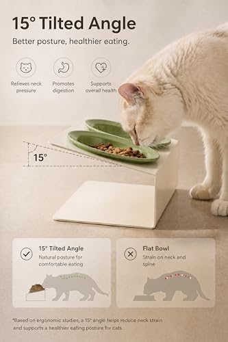 Elevated Cat Bowls 3.4 oz x2, Raised Cat Bowl Stand, Ceramic Cat Food and Water Bowl Set for Cats and Small Dogs (Green) - color: green