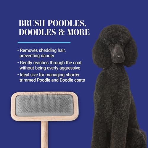 Chris Christensen Mark III Slicker Brush for Dogs, 12mm Pins, Groom Like a Pro, Handcrafted Lightweight Beechwood Ergonomic Handle, Stainless Steel Pins, A5III Medium. Made in Germany. - size: Mark III Medium