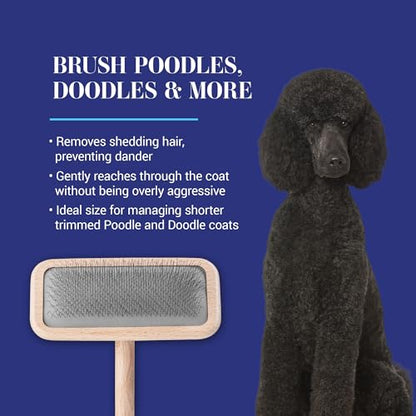Chris Christensen Mark III Slicker Brush for Dogs, 12mm Pins, Groom Like a Pro, Handcrafted Lightweight Beechwood Ergonomic Handle, Stainless Steel Pins, A5III Medium. Made in Germany. - size: Mark III Medium