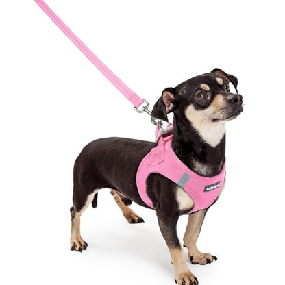 rabbitgoo Dog Harness Small Sized and Leash Set, Step in Soft Light Puppy Vest, Breathable Mesh Pet Harness, Reflective for Safe Easy Walking, Light Pink XXXS - color: Light Pink, size: Xxxs (chest: 10.8 - 11.8")