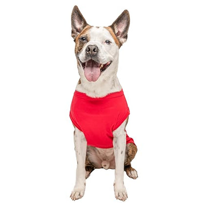 Firefighter K9 Fire Dept Dog Tee Shirt | Sleeveless Breeds | Firehouse | Rescue Squad | Halloween Costume | First Responder | Dalmation |Red, 5X-Large 1380 - color: Red, size: 5X-Large (55-80 lbs)