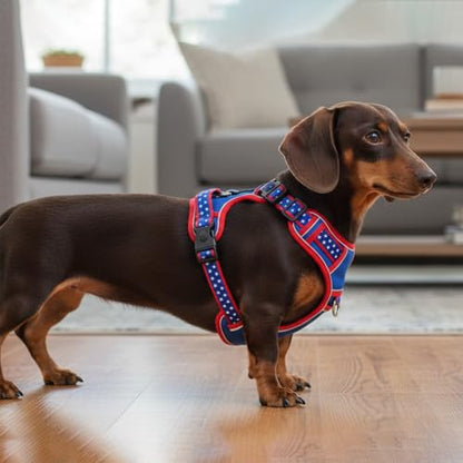 Medium Dog Harness, No Pull Pet Vest with Neck Buckle for Easy On Off, Breathable Walking Harness for French Bulldog, Corgi, Beagle, Padded with Sturdy Handle, 2 Tactical Leash Clips (M Size) - size: Medium