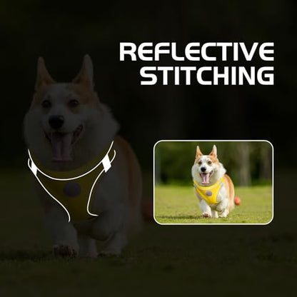 Soft Mesh Dog Harness and Leash Set, No Pull Puppy Harness and Leash Set, Reflective Step in Harness for Small Medium Dogs, Easy Walk Escape Proof Vest Harnesses (Yellow, M) - color: Yellow, size: M
