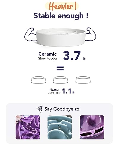 LE TAUCI Slow Feeder Dog Bowls Ceramic,3 Cups Slow Feeding Dog Bowl Medium Large Breed, Pet Bowl for Fast Eaters, Puzzle Pet Dishes, Angle White - color: Angle White, size: L-3 Cups