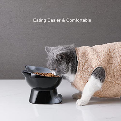 Nihow Elevated Cat Bowls,6 Inch Ceramic Raised Cat Food and Water Bowl Set | Slanted,Whisker Friendly,for Protecting Pet's Spine,Microwave & Dishwasher Safe ,Elegant Gray,6.8 OZ - color: Gray, size: 6.8 OZ+15.5 OZ