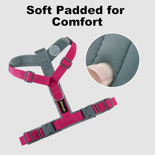 Plutus Pet No Pull Dog Harness, Adjustable Nylon Harness with Soft Padding, Reflective and Heavy Duty Dog Harness for Small, Medium, Large Dogs(Hot Pink, S) - color: Hot Pink, size: S