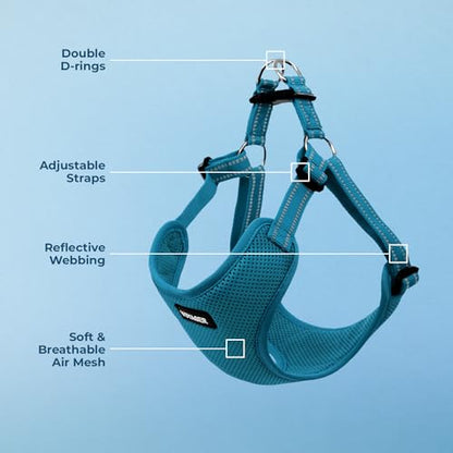 Best Pet Supplies Voyager Adjustable Step-in Flex Breathable Mesh Dog Harness for Small Medium Large Dogs (Turquoise), L - color: Harness (Turquoise), size: L