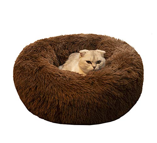 Modern Soft Plush Round Pet Bed for Cats or Small Dogs, Mini Medium Sized Dog Cat Bed Self Warming Autumn Winter Indoor Snooze Sleeping Cozy Kitty Teddy Kennel (20'' D x 8'' H, Chocolate) - color: Chocolate, size: Small 20''