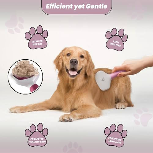 Small Slicker Brush for Grooming - Slicker Brush for Dogs and Cats can act as Deshedding Pet Tool for Healthy Coat Maintenance and Suitable for Short and long Haired Dogs - size: Small Poodle