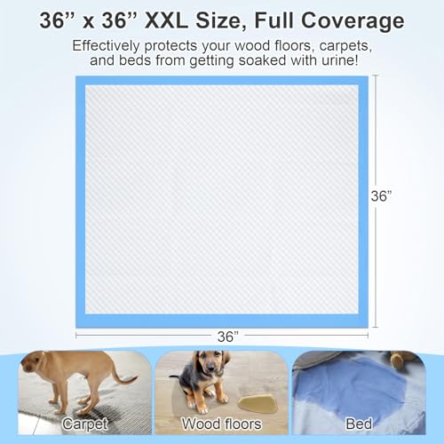 Upgraded 4XL 36"x36" 6 Layers Dog Pee Pads, 100 CountsUltra Absorbent Pee Pads, Absorb up to 12 Cups, Leak-Proof & Quick Dry Puppy Pads for Puppy,Surgery, Older,Cats, Rabbits,100pcs - size: 36"x36" Blue(100counts)