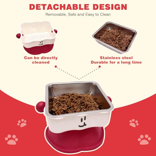 Elevated Cat & Small Dog Bowl - 30° Slanted Anti-Slip Feeding Bowl, Detachable Stainless Steel Design, Reduces Stomach Pressure, Comfortable Eating Posture, Easy to Clean, Fits Cats & Small Breeds
