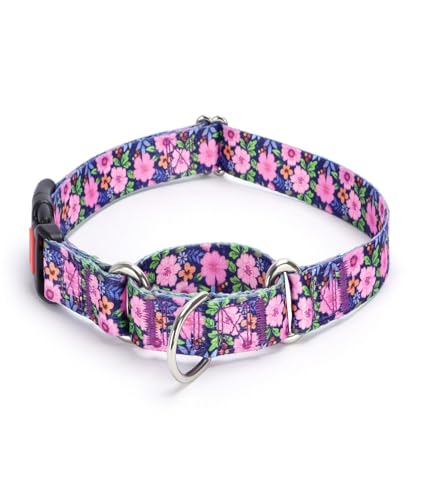 Personalized Custom Customized Engraved Training Martingale Dog Collars with ID Name and Phone Number Buckle for Small Medium Large Dogs